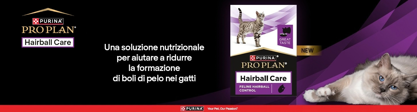 Scopri i prodotti